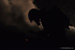 DSC_6647